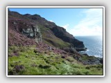 Mull of Kintyre - Summer heather in full bloom